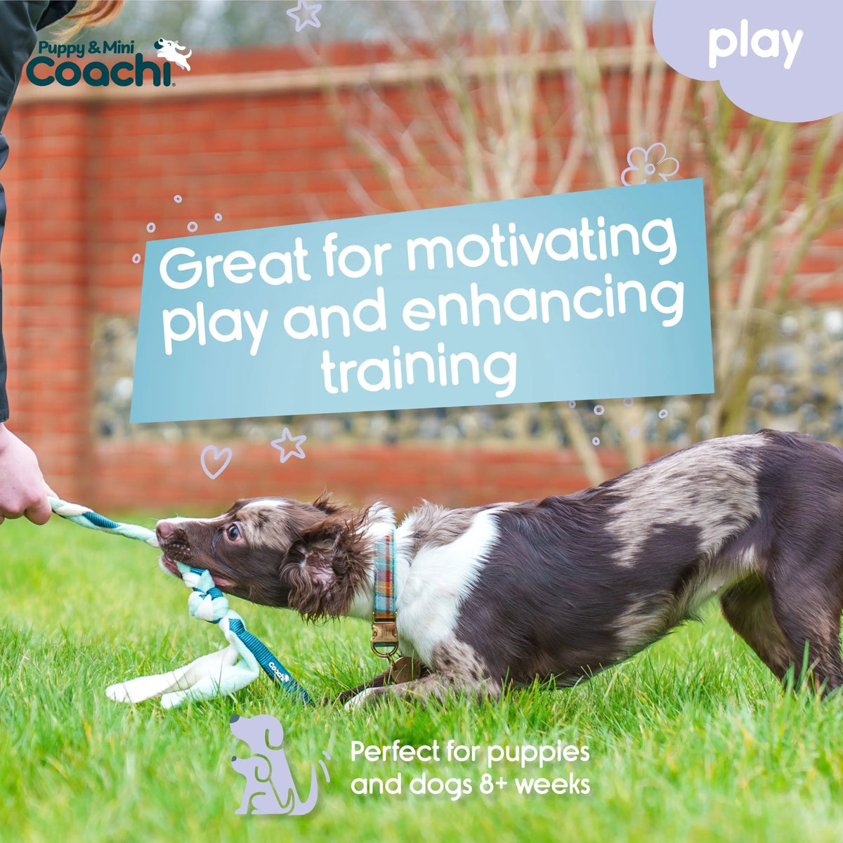 Company of Animals Coachi Tuggi Tug Puppy & Mini   | Canine & Co