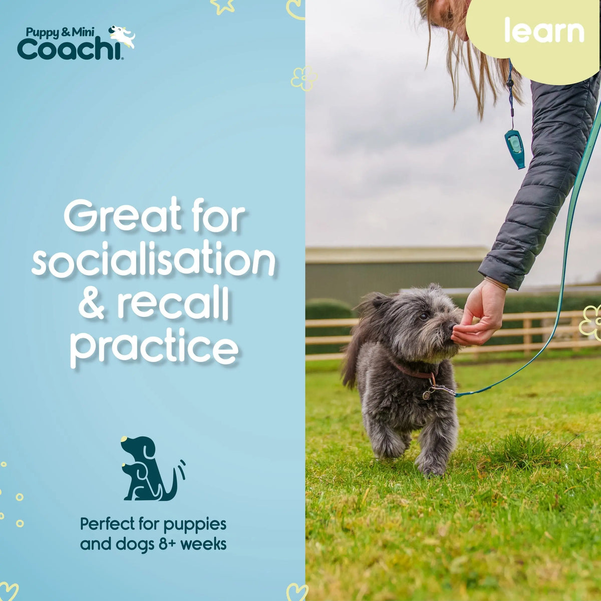 Company of Animals Coachi Waterproof Training Line Puppy & Mini   | Canine & Co