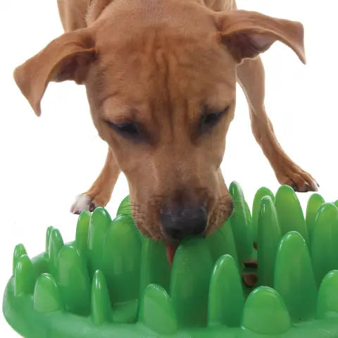 Dog enjoying a green interactive feeding mat designed to slow down eating and stimulate mental engagement.