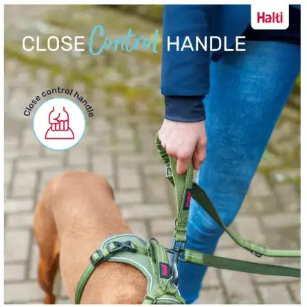 Company of Animals Halti Active Bungee & Hands-Free Lead   | Canine & Co