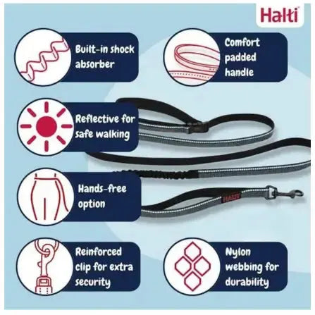 Company of Animals Halti Active Bungee & Hands-Free Lead   | Canine & Co
