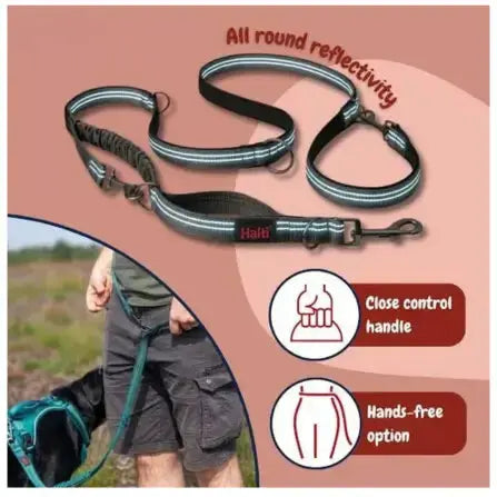 Company of Animals Halti Active Bungee & Hands-Free Lead   | Canine & Co