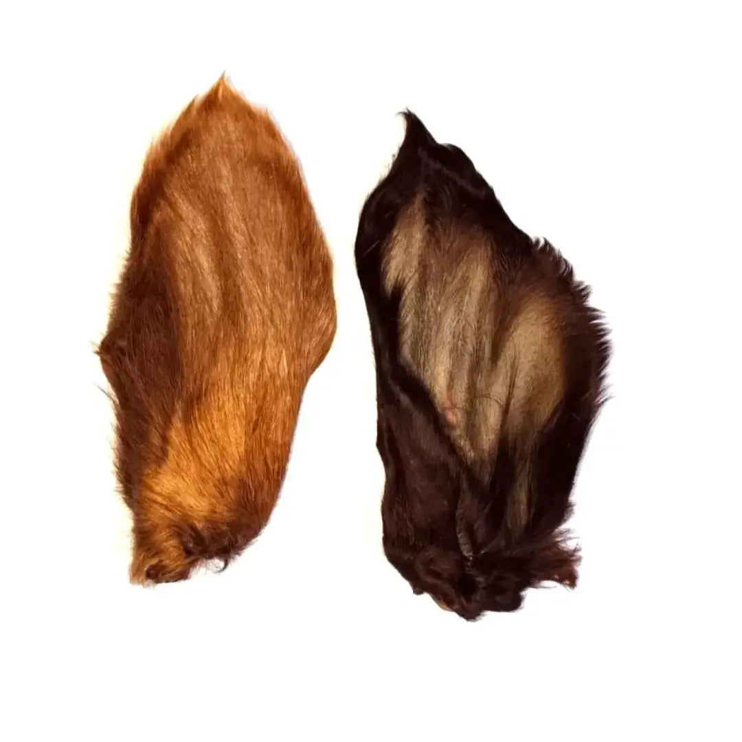 Craving Nature Beef Ears Dog Chew Treats   | Canine & Co