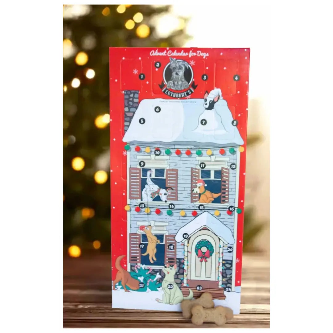 Cuthbert's Christmas Advent Calendar Dog Treat