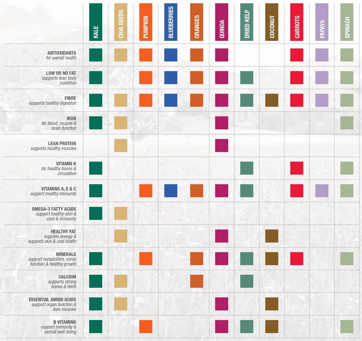 Nutritional infographic highlighting health benefits of various superfoods like kale, quinoa, and pumpkin.