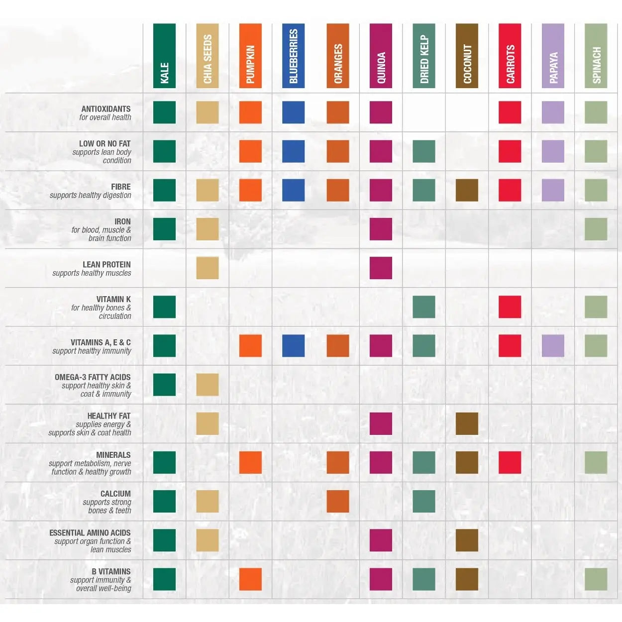 Nutritional infographic highlighting superfood benefits for health and wellness.