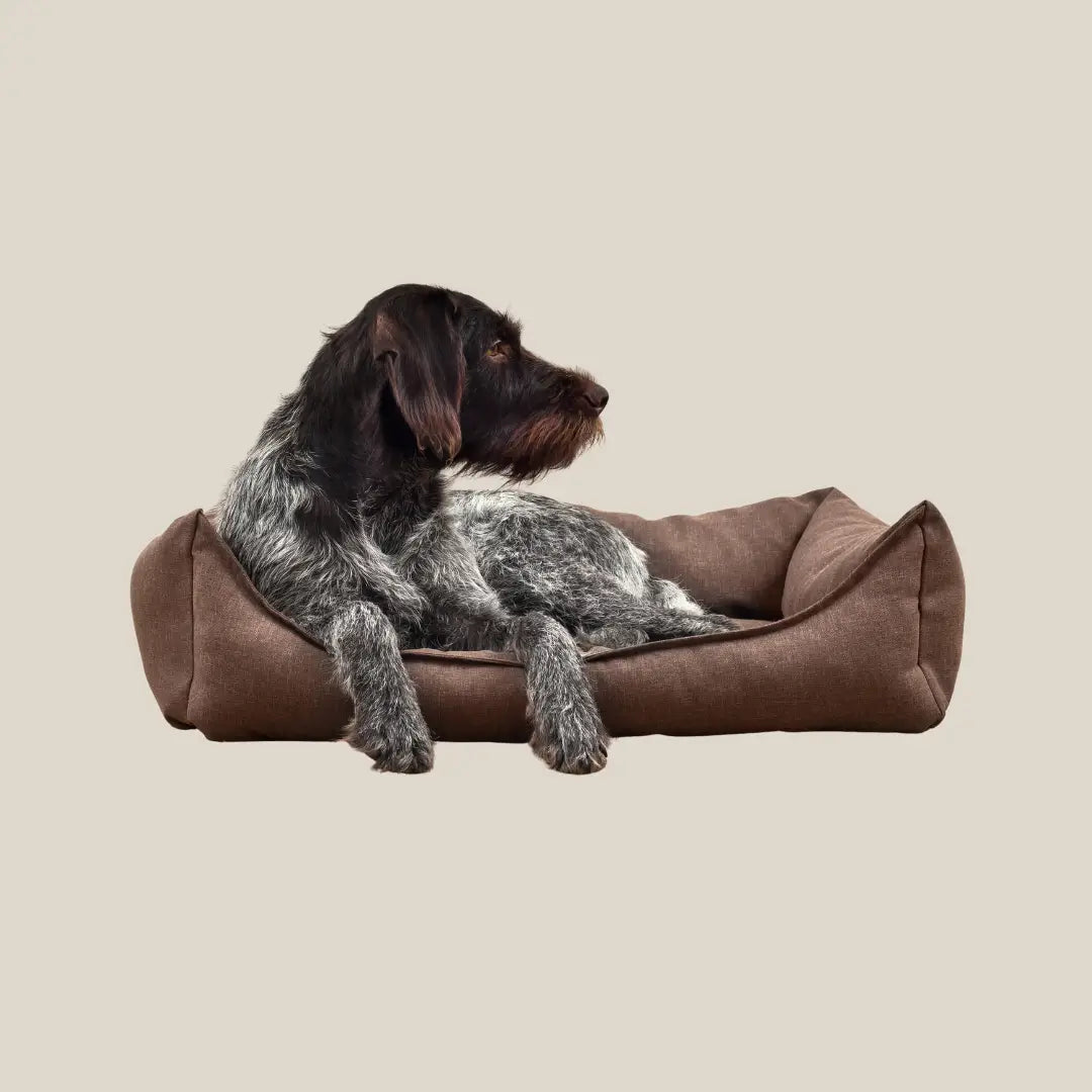 Dog Beds