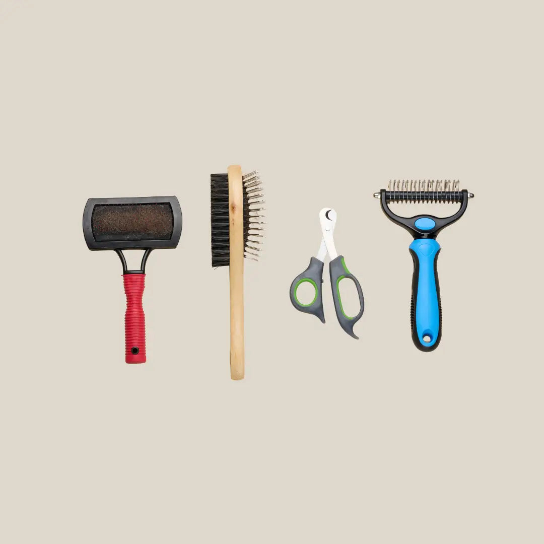 Dog Grooming