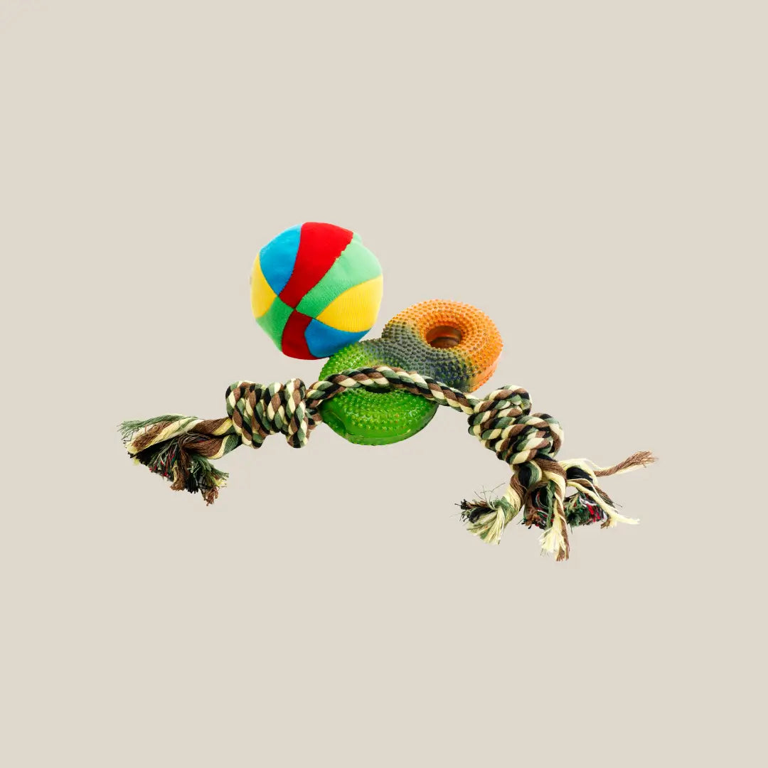 Dog Toys