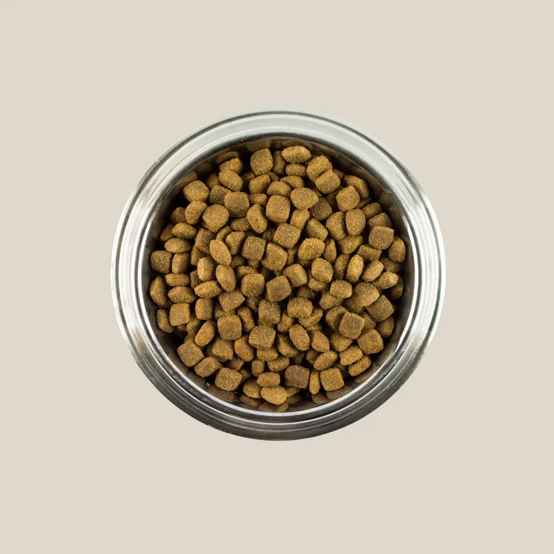 Dog Food