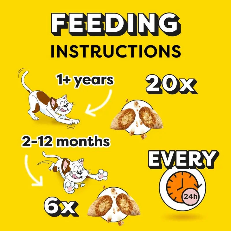 Infographic showing pet feeding instructions for different age groups and daily portions.