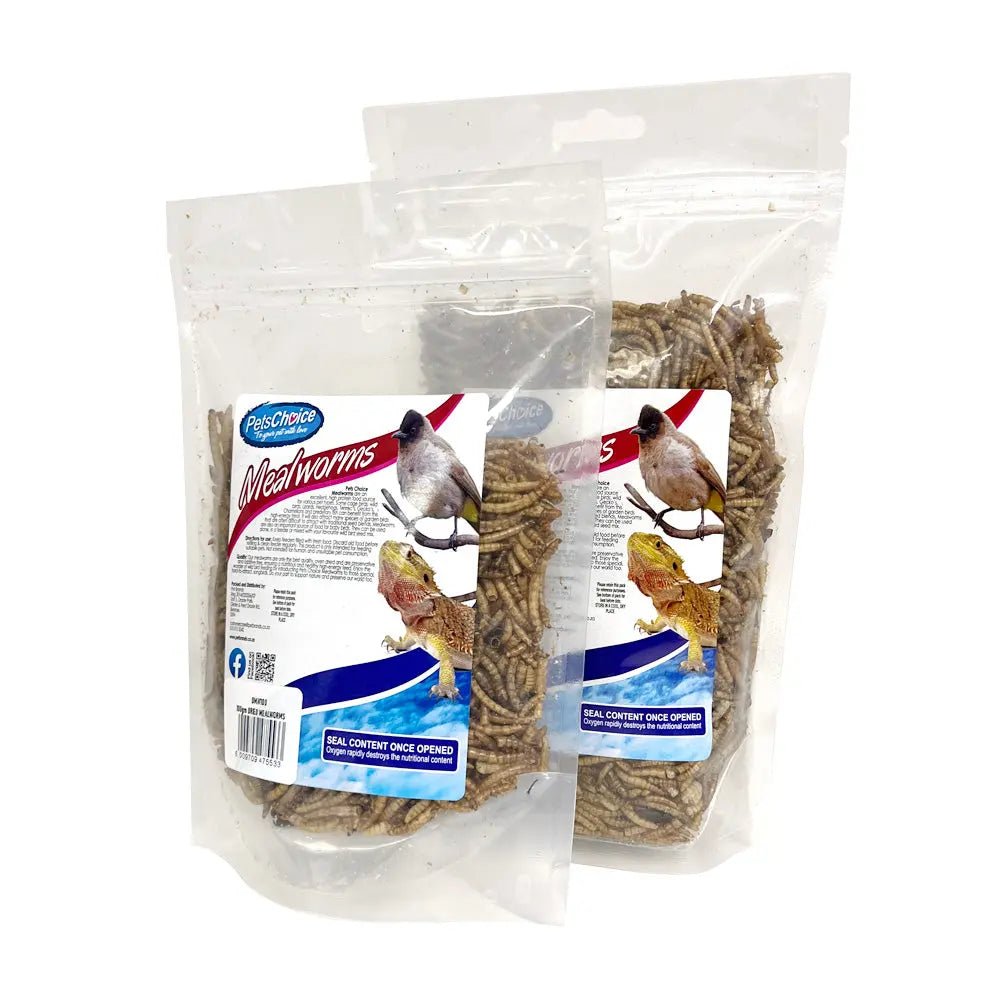 Dried Mealworms