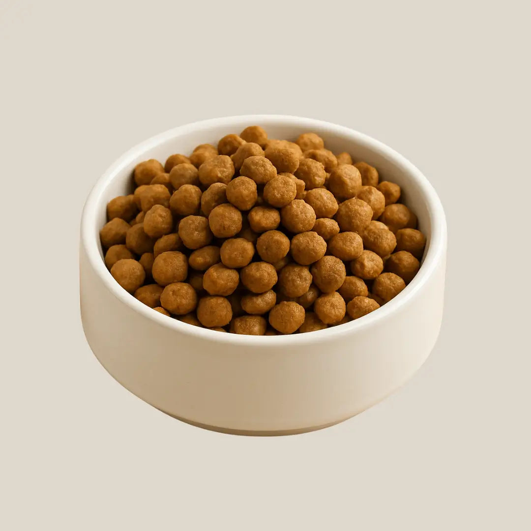 Dry Dog Food