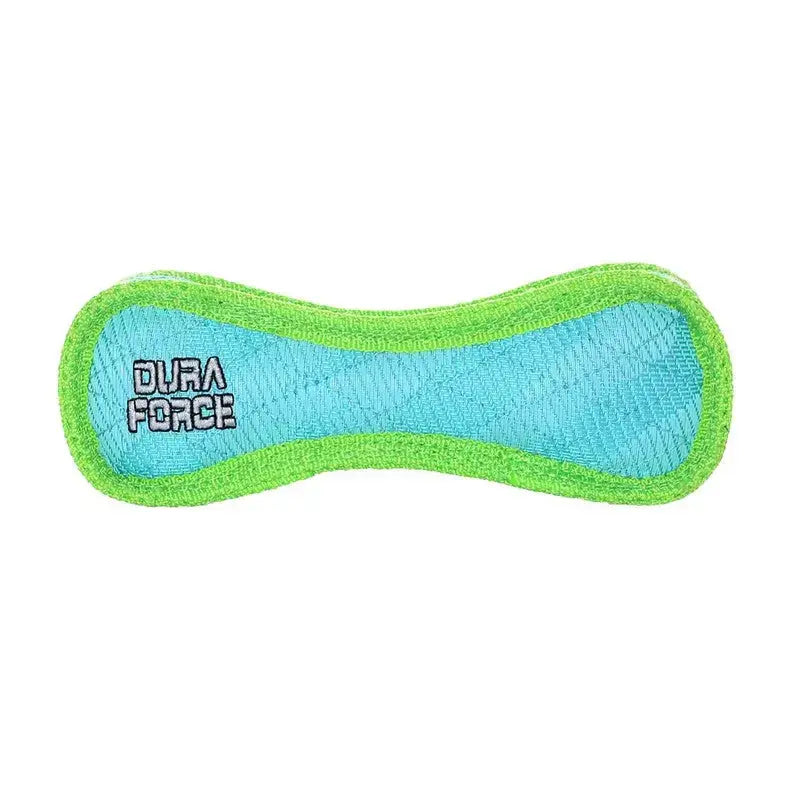 Durable dog toy in blue and green, perfect for interactive play and fetch.