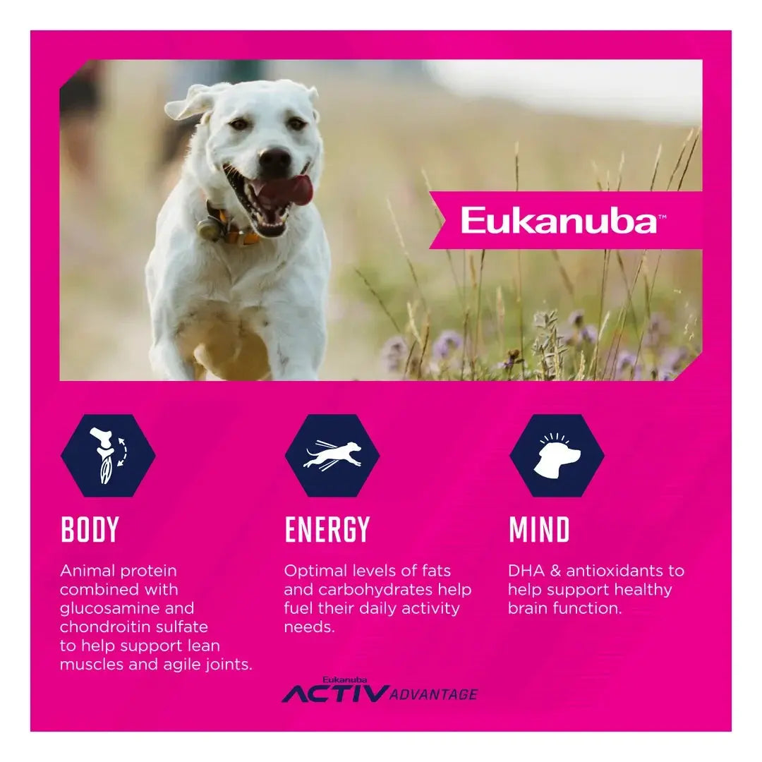 Eukanuba Adult Large Breed Dry Dog Food