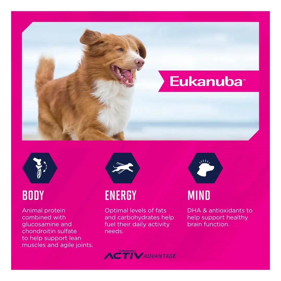 Eukanuba Adult Medium Breed Dry Dog Food