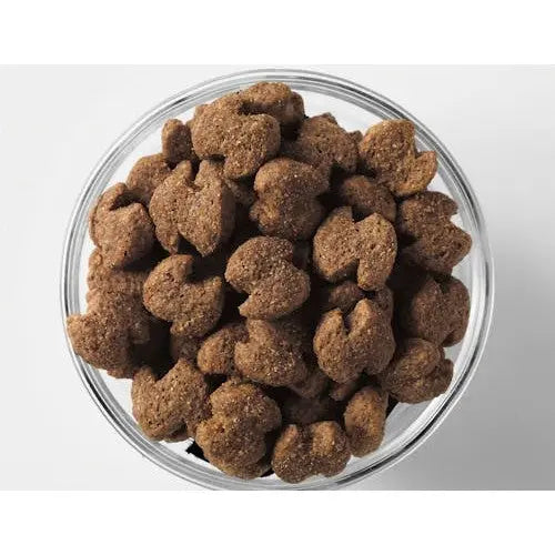 Bowl of dry pet food kibble, showcasing its crunchy texture and rich brown color.