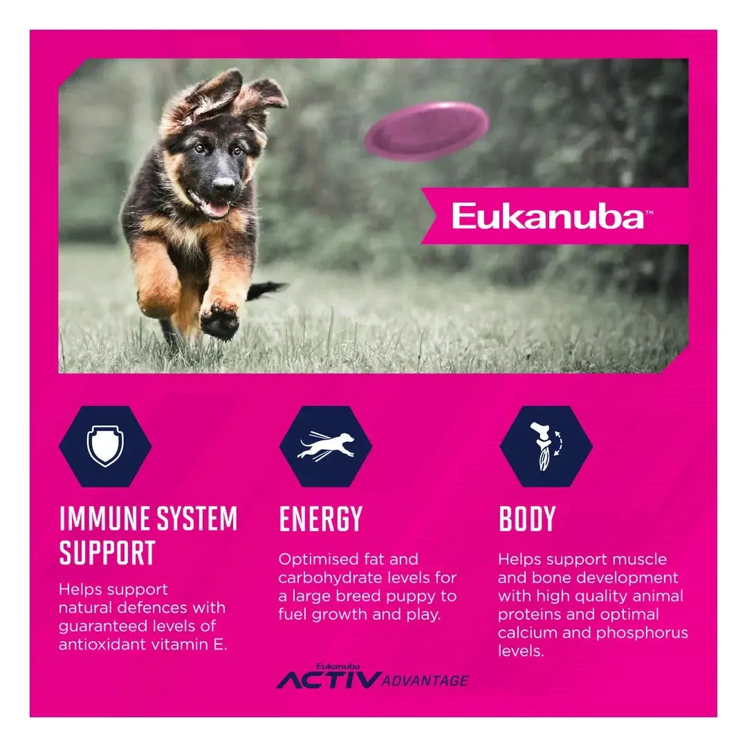Eukanuba Large Breed Puppy Food