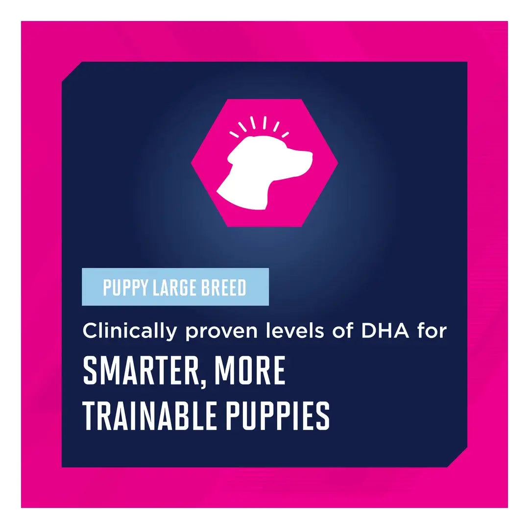 Eukanuba Large Breed Puppy Food