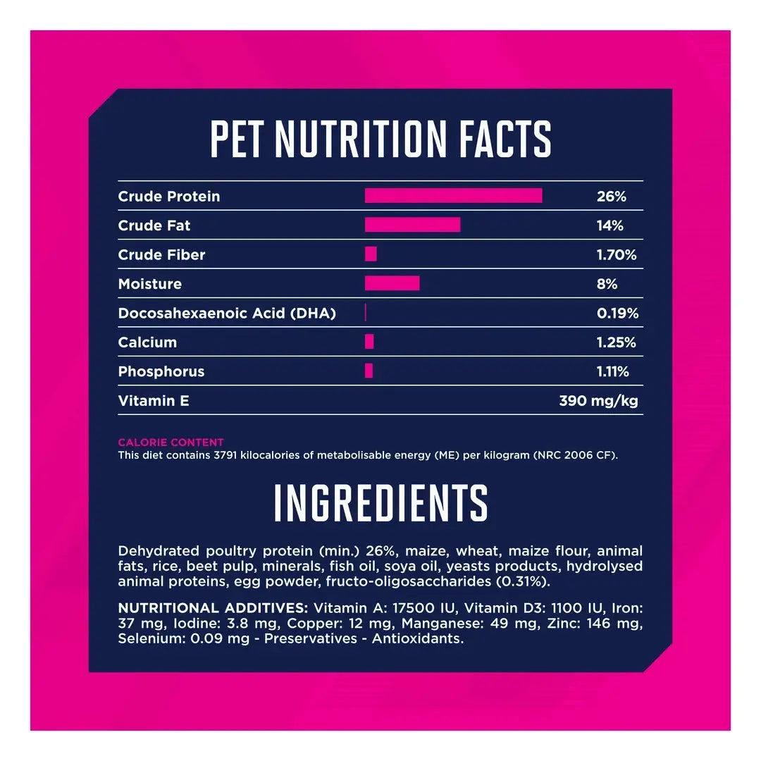 Eukanuba Large Breed Puppy Food