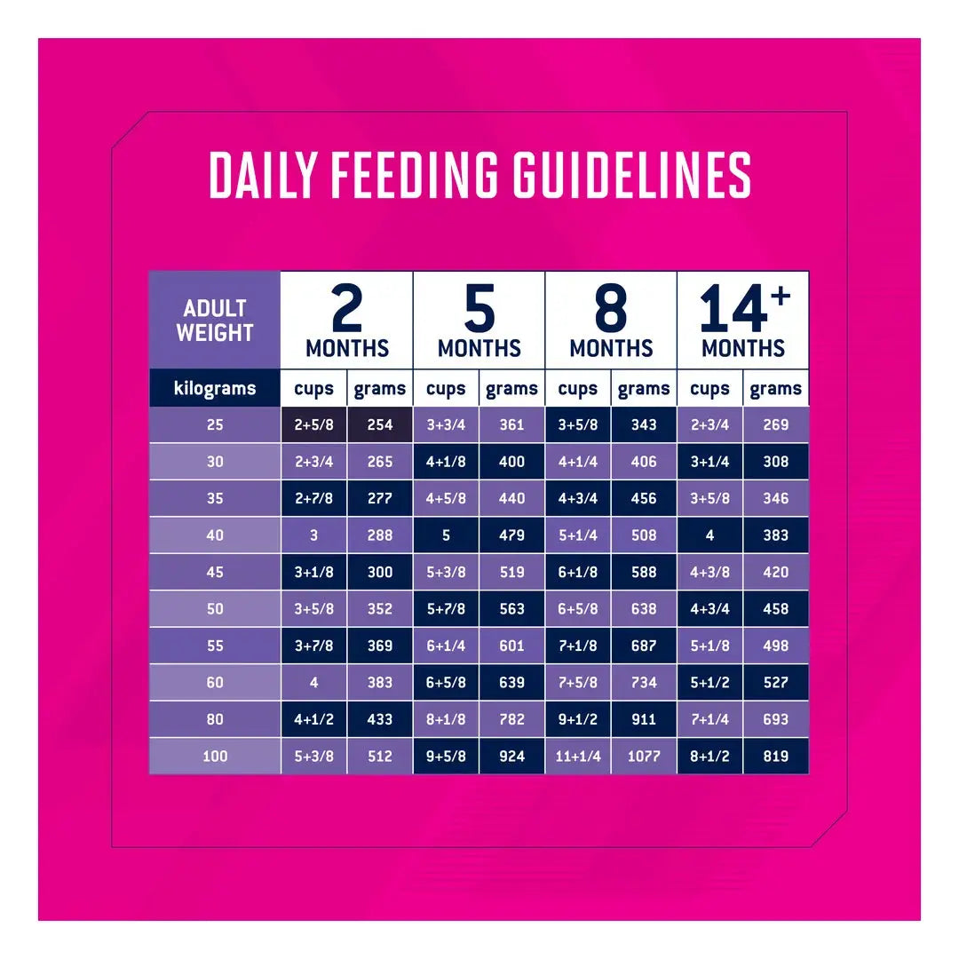 Eukanuba Large Breed Puppy Food