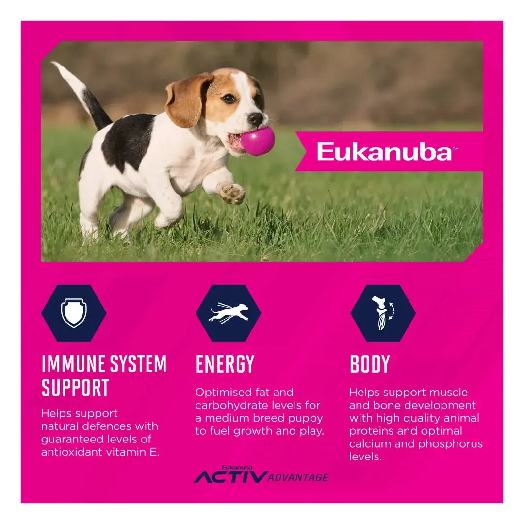 Eukanuba Medium Breed Puppy Food