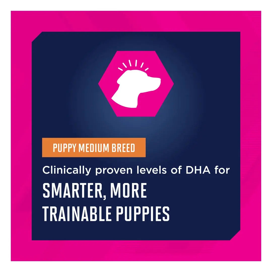 Eukanuba Medium Breed Puppy Food