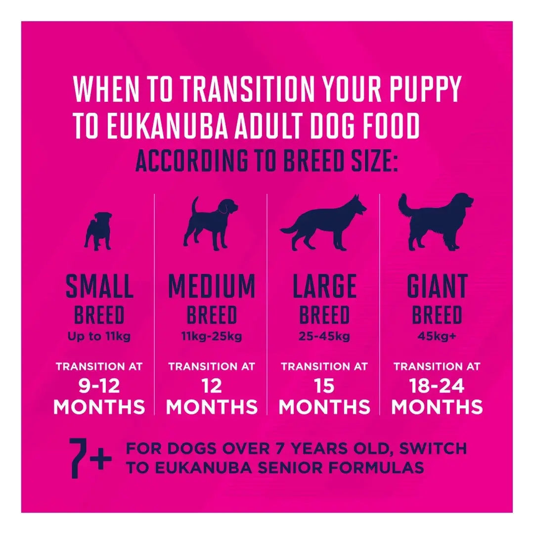 Eukanuba Medium Breed Puppy Food