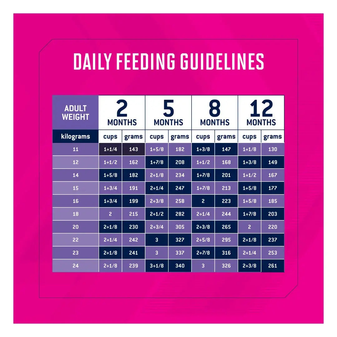Eukanuba Medium Breed Puppy Food