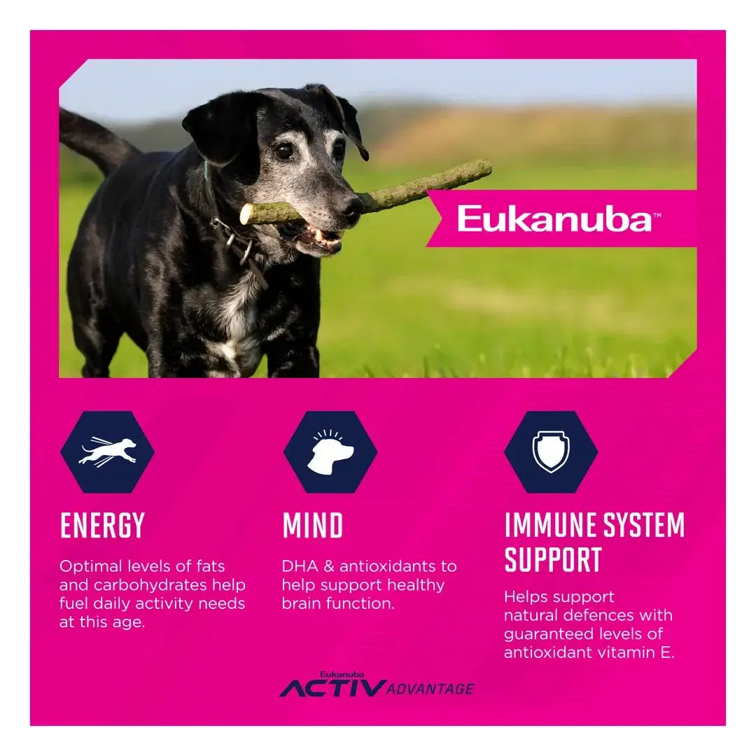 Eukanuba Senior Large Breed Dry Dog Food