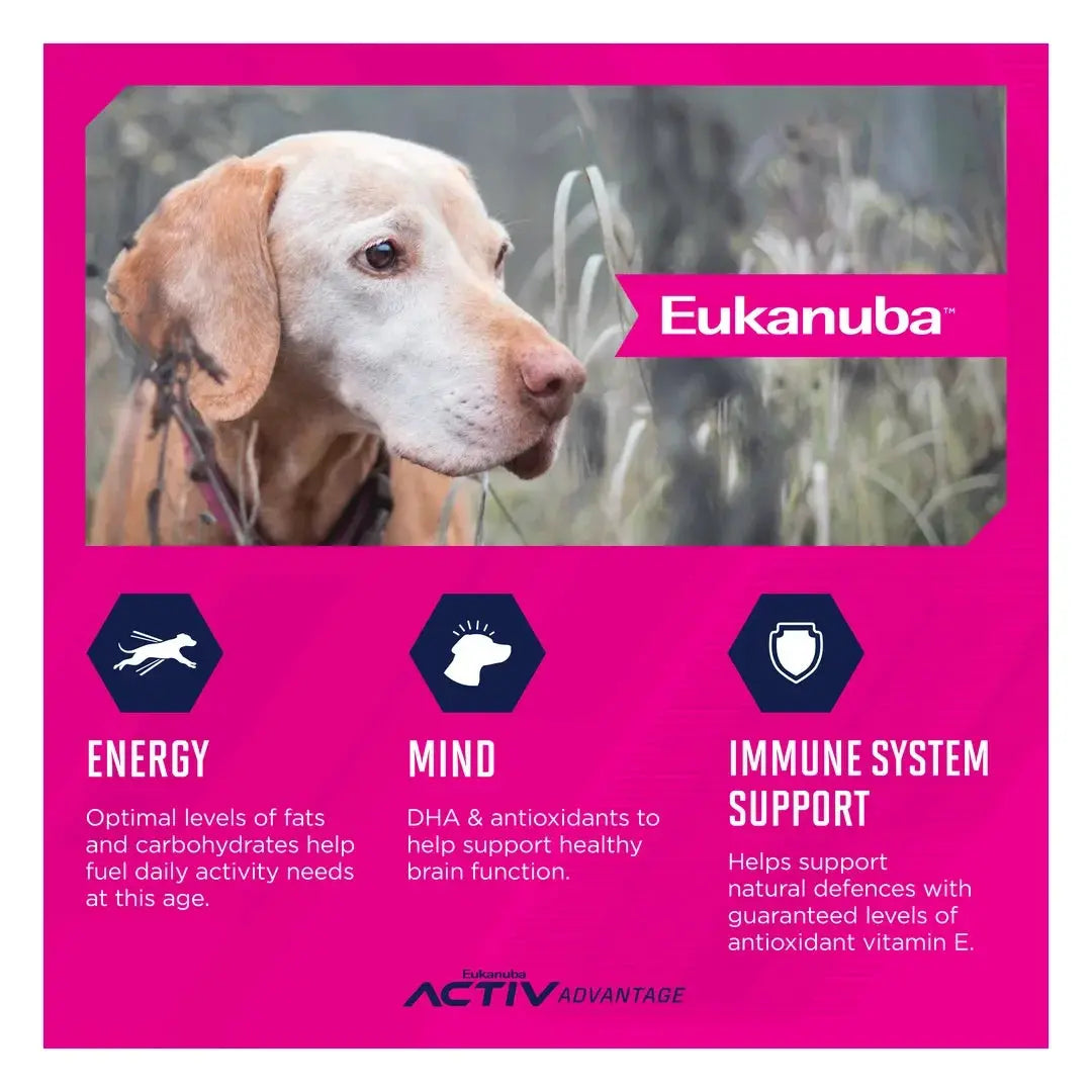 Eukanuba Senior Medium Breed Dry Dog Food