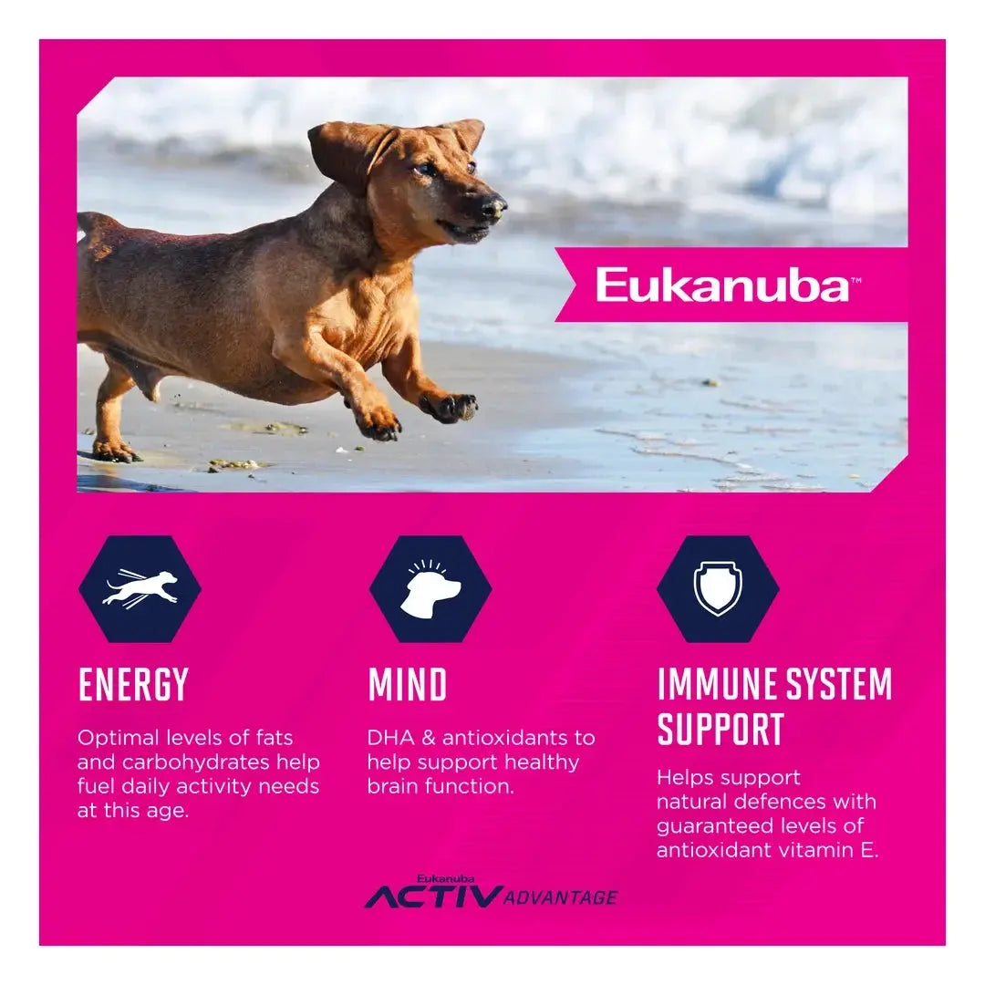 Eukanuba Senior Small Breed Dry Dog Food