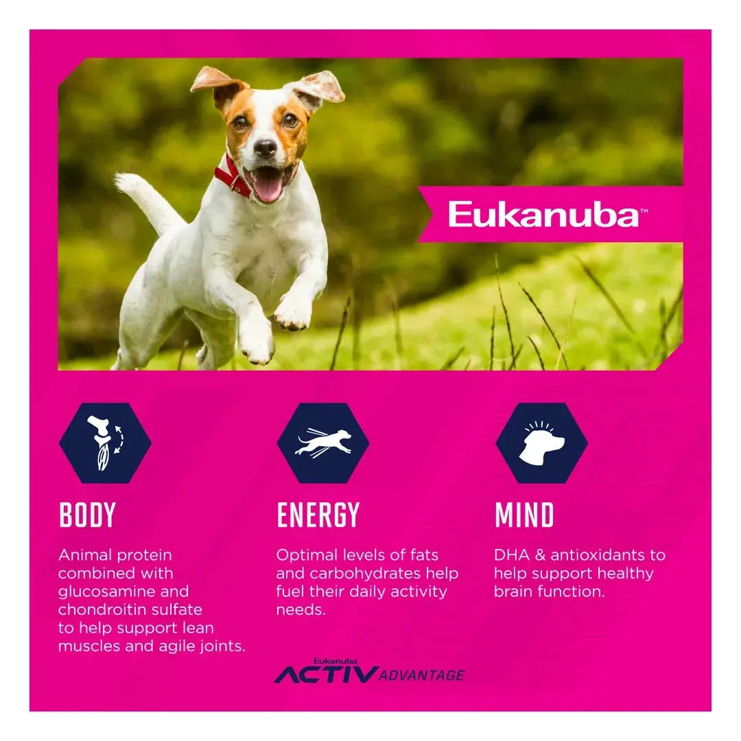 Eukanuba Small Breed Adult Dry Dog Food