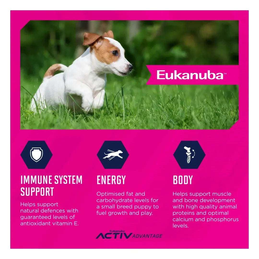 Eukanuba Small Breed Puppy Food