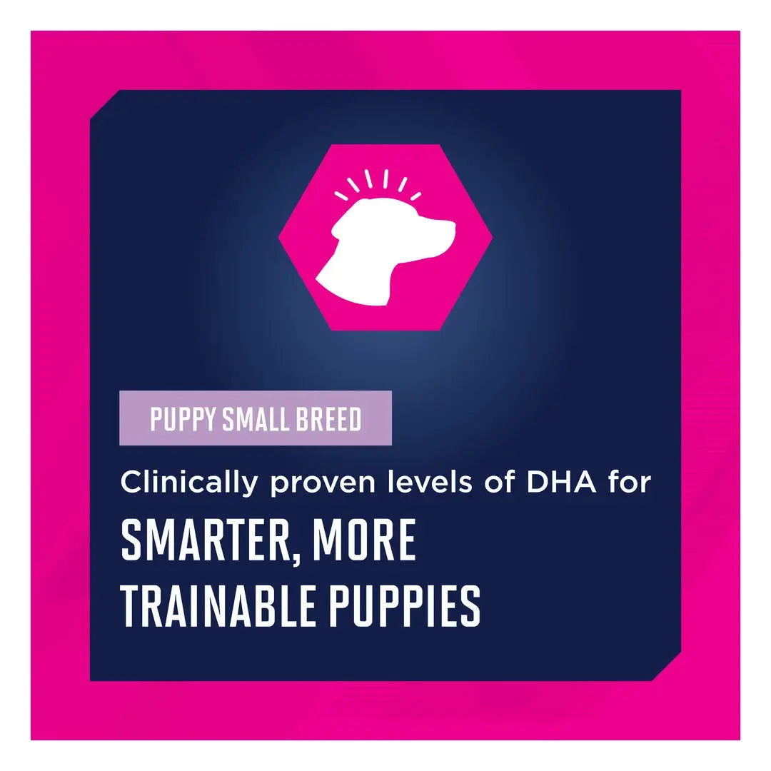 Eukanuba Small Breed Puppy Food
