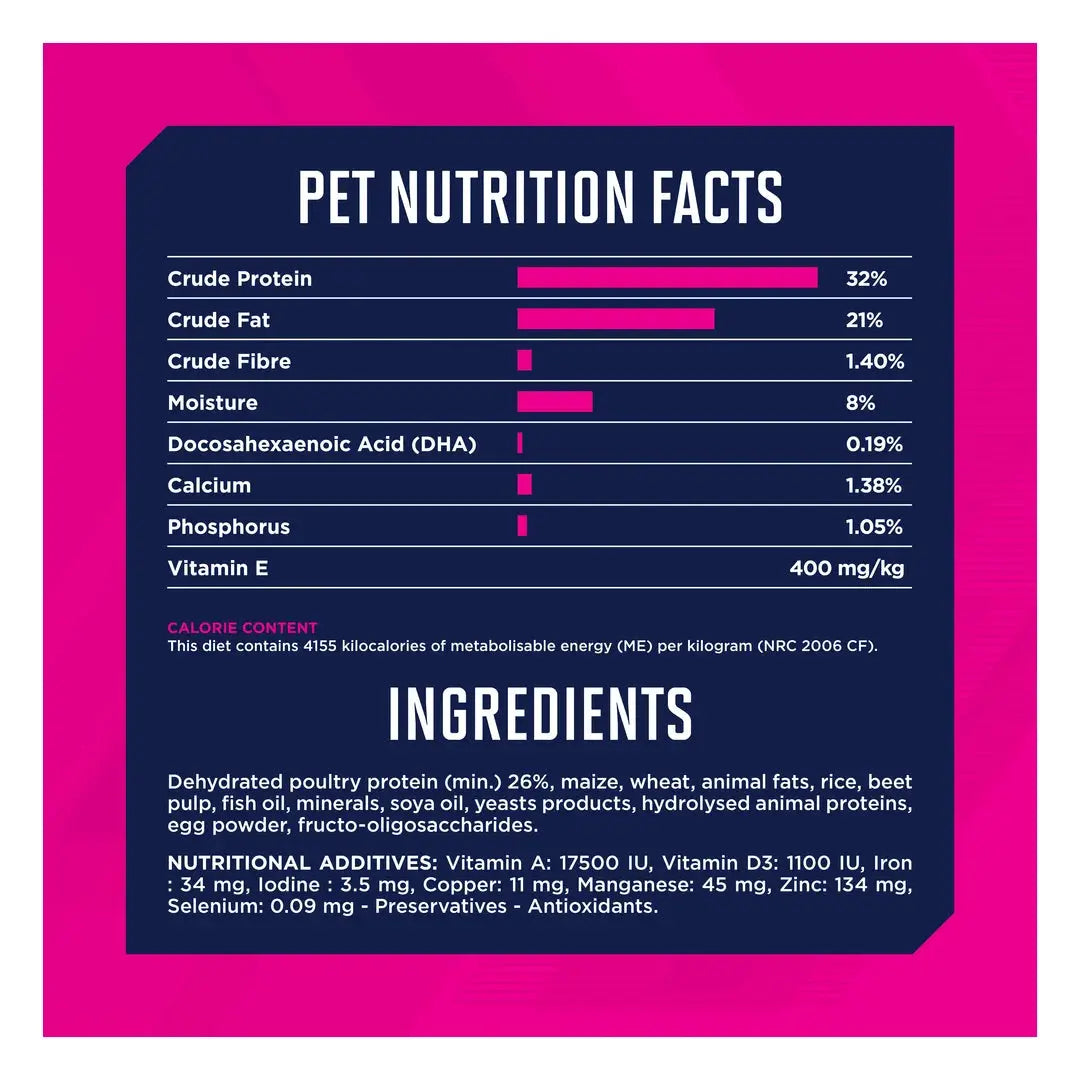 Eukanuba Small Breed Puppy Food
