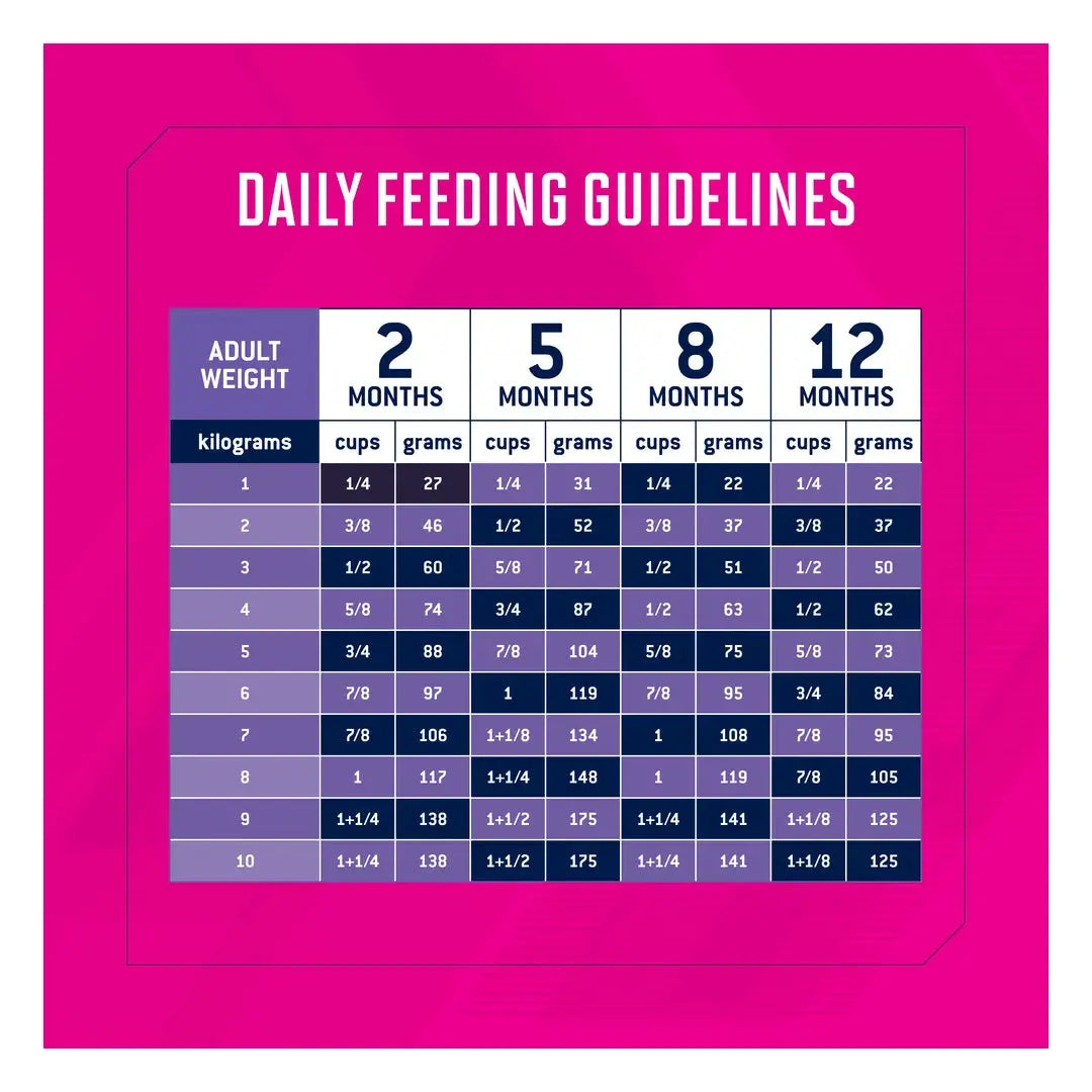 Eukanuba Small Breed Puppy Food