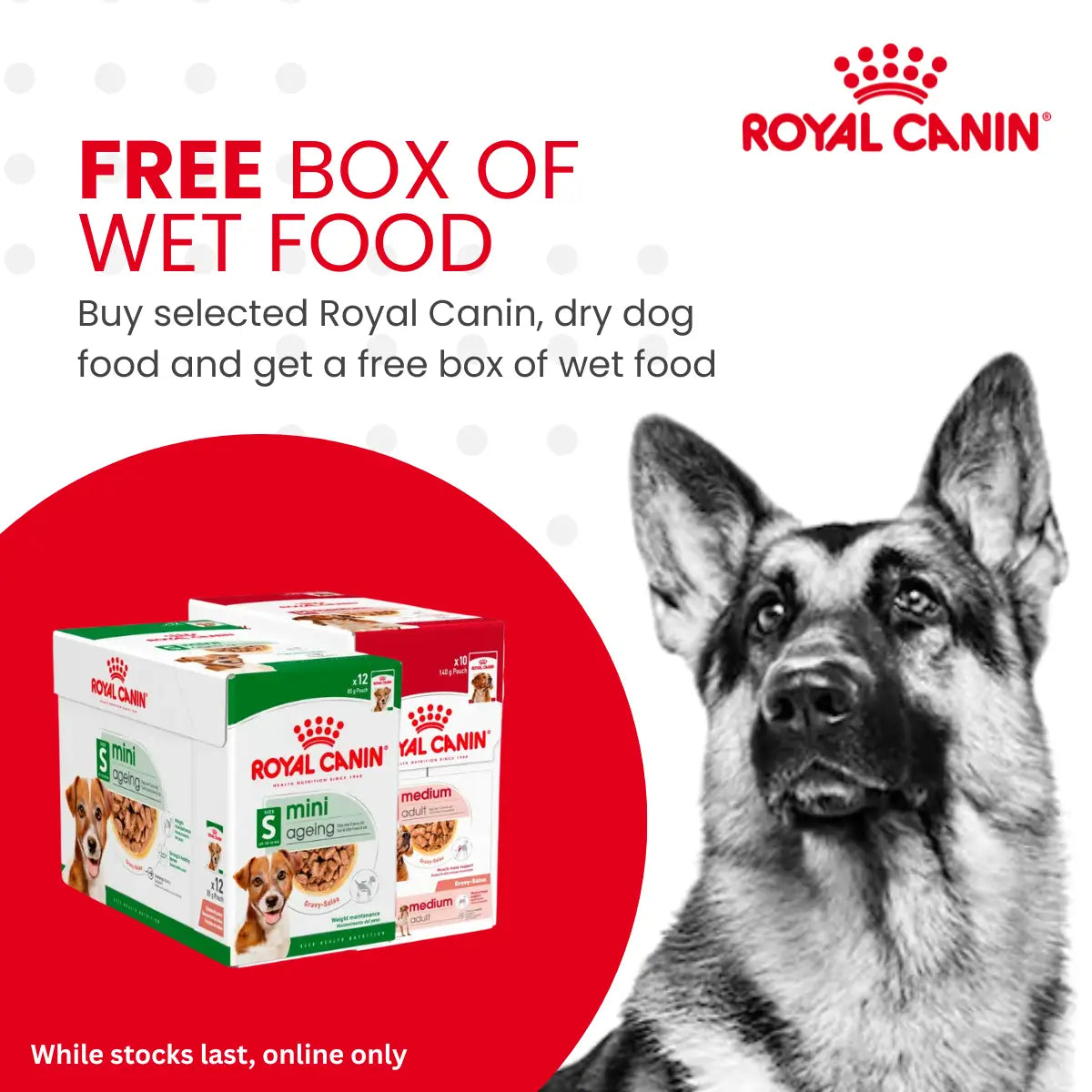 FREE Royal Canin Wet Food