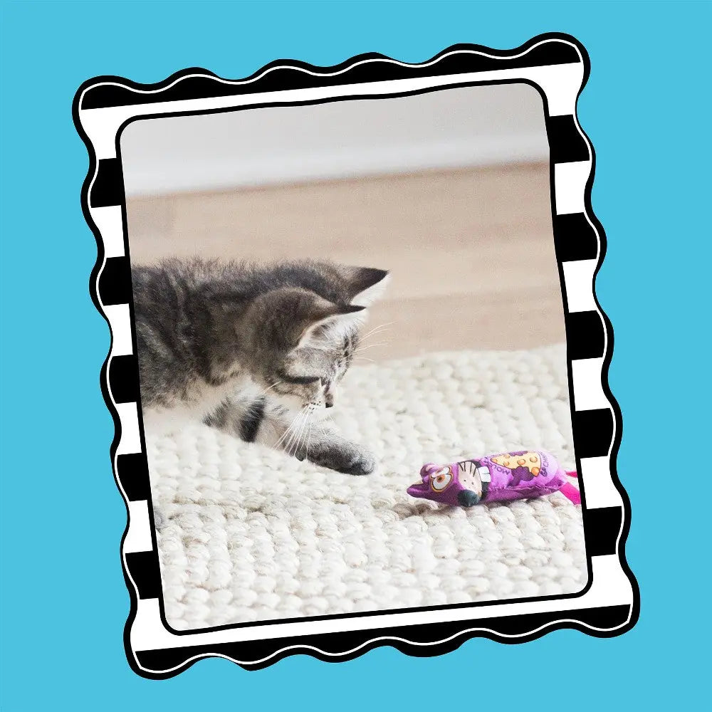 Playful kitten curiously pounces on a colorful toy mouse on a cozy rug.
