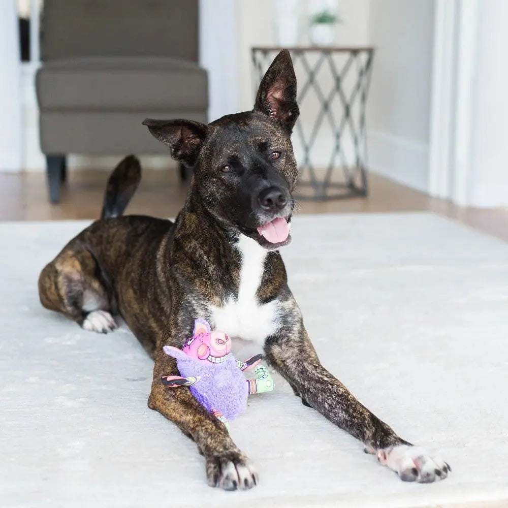 Happy dog playing with colorful plush toy on a cozy rug in a stylish living room.