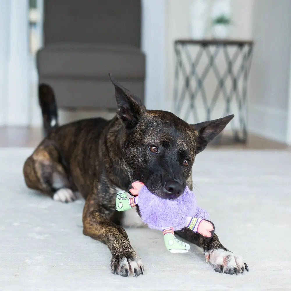 Dog playing with a colorful plush toy on a soft rug in a cozy living room.