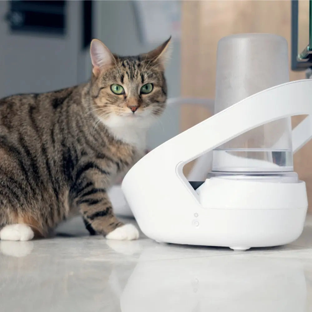 Cat drinking from a modern pet water fountain in a stylish home setting.