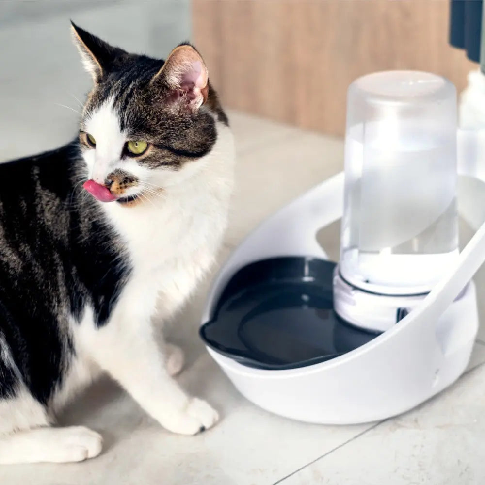 Cat drinking from a modern water fountain, promoting hydration and health for pets.