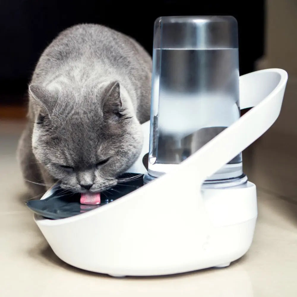 Cat drinking from a modern water fountain designed for pets, featuring a sleek white design.