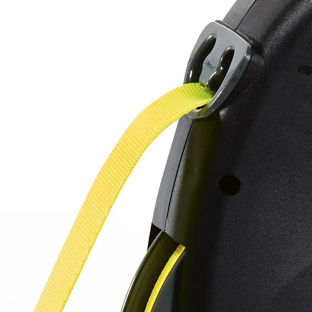 Flexi Giant Tape 8m   | Canine & Co