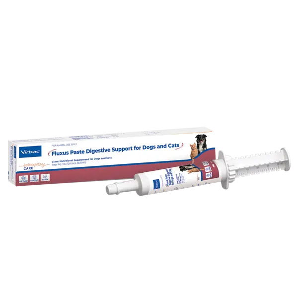 Fluxus Paste 30g
