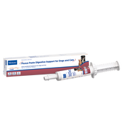 Fluxus Paste 30g