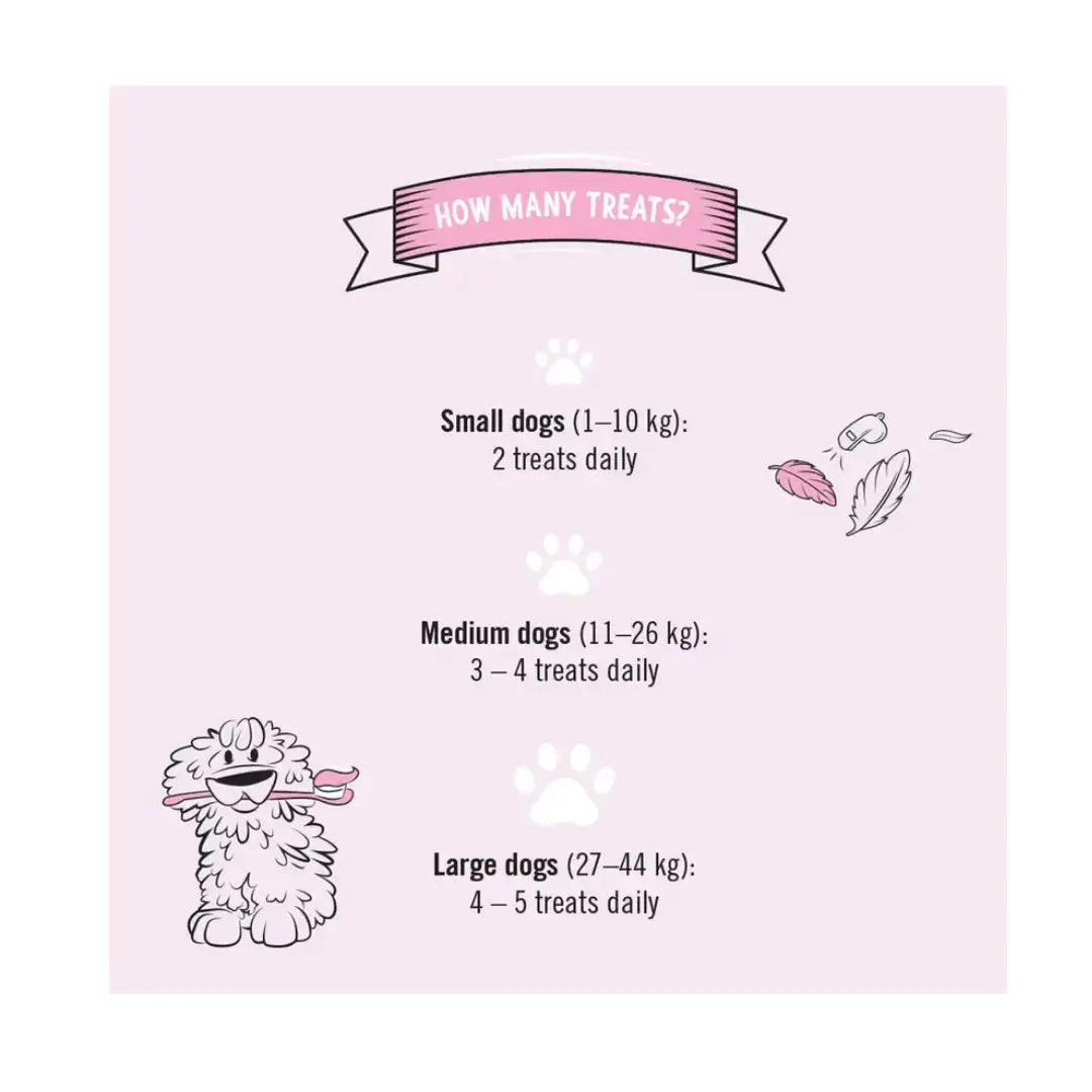 Gizzls Botanicals Dental Dazzle Dog Biscuit Treats   | Canine & Co