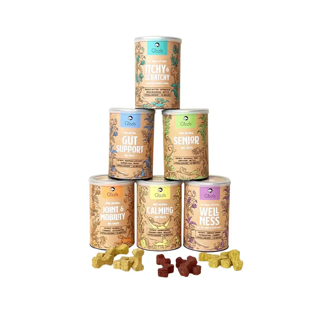 Gizzls Botanicals Dental Dazzle Dog Biscuit Treats   | Canine & Co