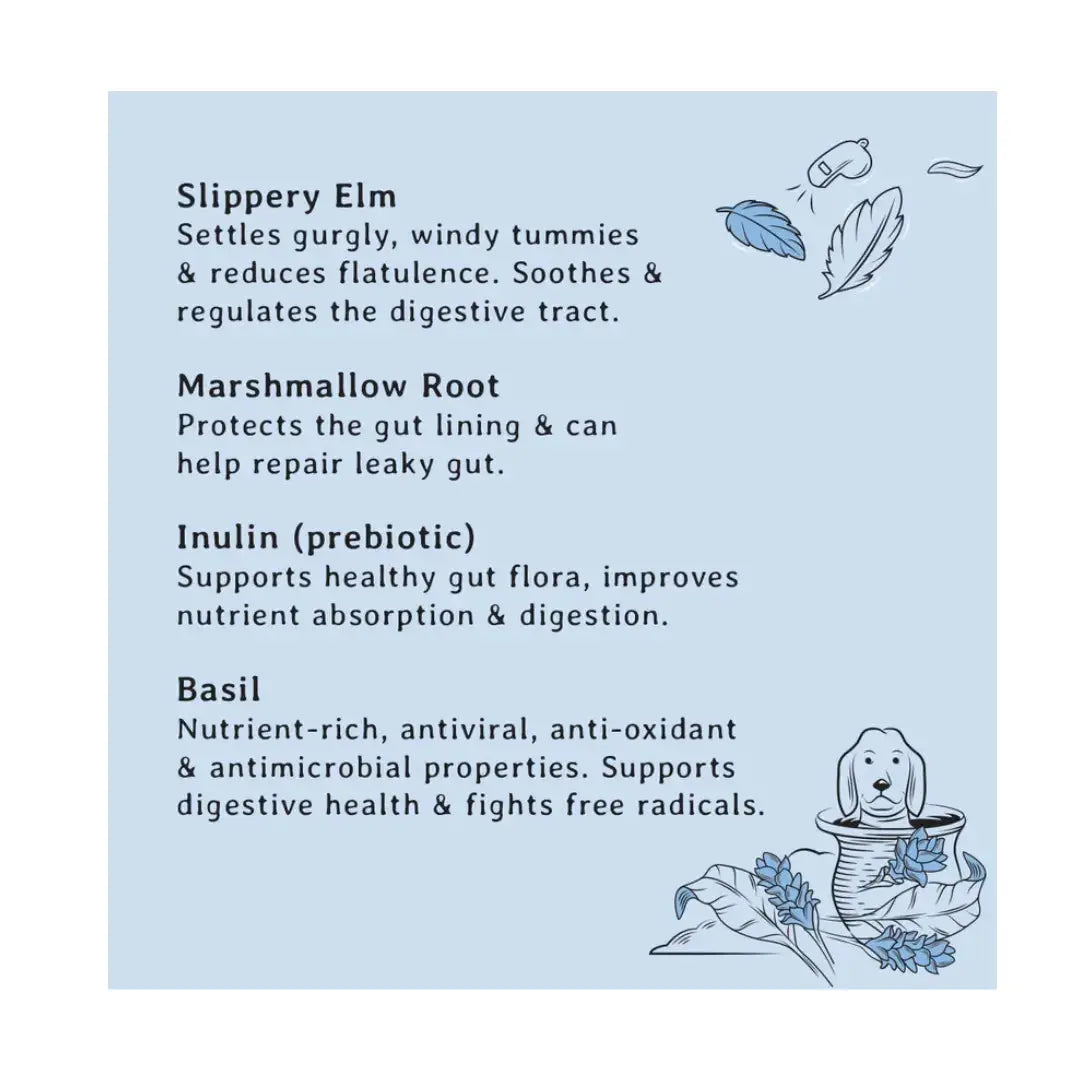 Gizzls Botanicals Gut Support Dog Biscuit Treats   | Canine & Co